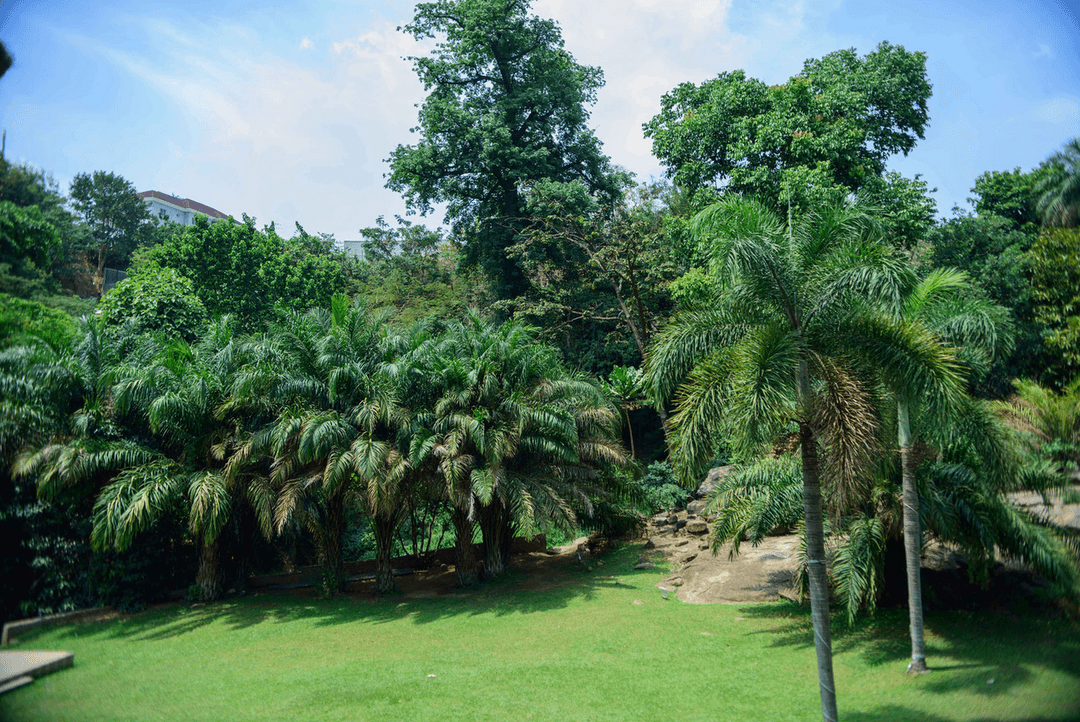 A picture gallery of Sarius Palmetum Botanical Garden in Maitama, Abuja