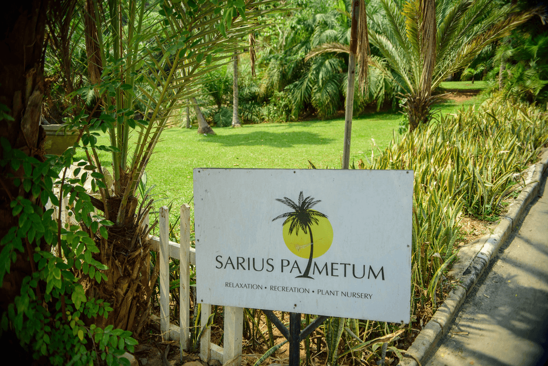 A picture gallery of Sarius Palmetum Botanical Garden in Maitama, Abuja