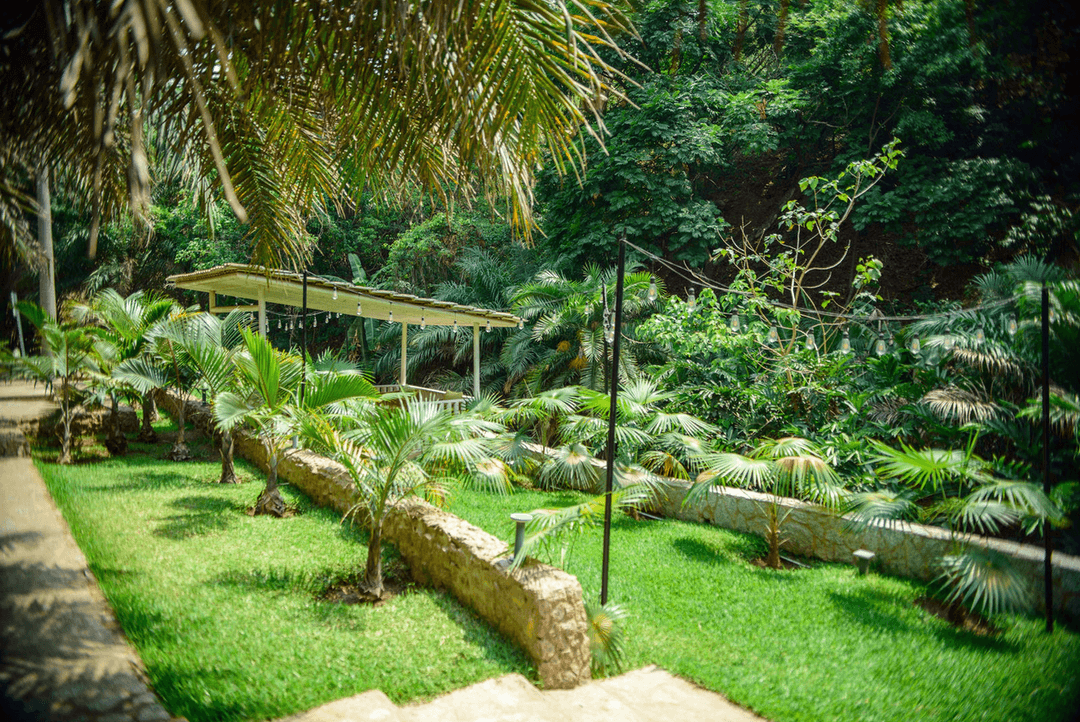 A picture gallery of Sarius Palmetum Botanical Garden in Maitama, Abuja