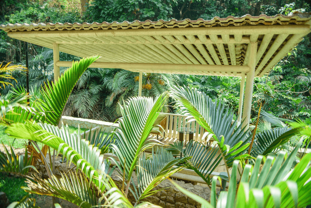 A picture gallery of Sarius Palmetum Botanical Garden in Maitama, Abuja