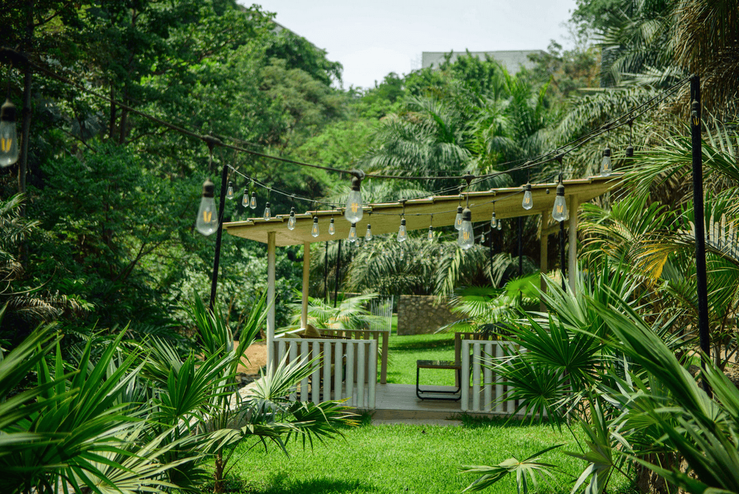 A picture gallery of Sarius Palmetum Botanical Garden in Maitama, Abuja