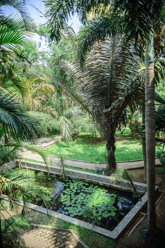 A picture gallery of Sarius Palmetum Botanical Garden in Maitama, Abuja