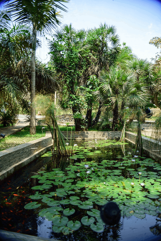 A picture gallery of Sarius Palmetum Botanical Garden in Maitama, Abuja
