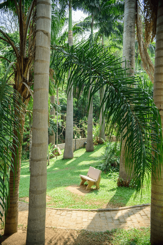 A picture gallery of Sarius Palmetum Botanical Garden in Maitama, Abuja