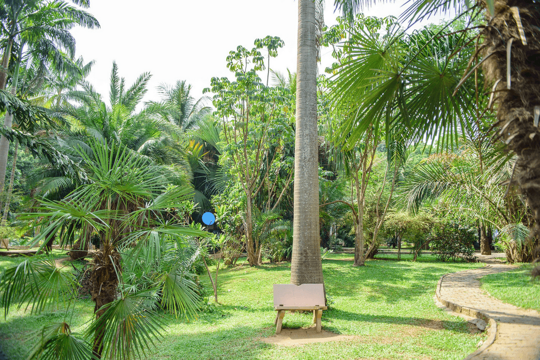 A picture gallery of Sarius Palmetum Botanical Garden in Maitama, Abuja