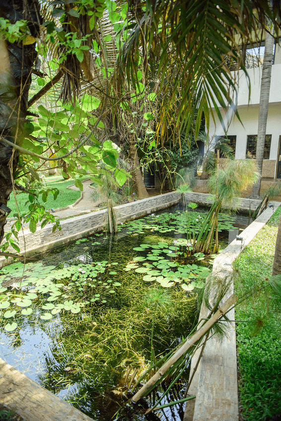 A picture gallery of Sarius Palmetum Botanical Garden in Maitama, Abuja
