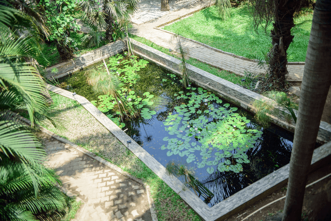 A picture gallery of Sarius Palmetum Botanical Garden in Maitama, Abuja