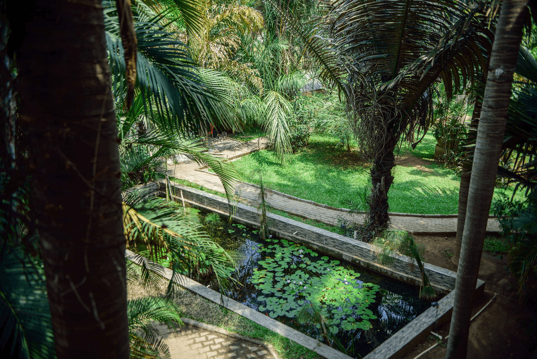 A picture gallery of Sarius Palmetum Botanical Garden in Maitama, Abuja