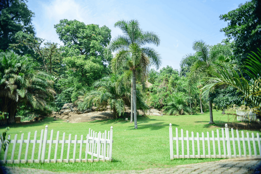 A picture gallery of Sarius Palmetum Botanical Garden in Maitama, Abuja
