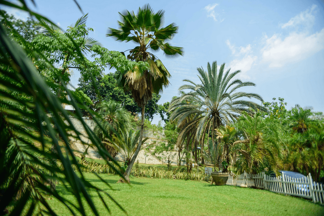 A picture gallery of Sarius Palmetum Botanical Garden in Maitama, Abuja