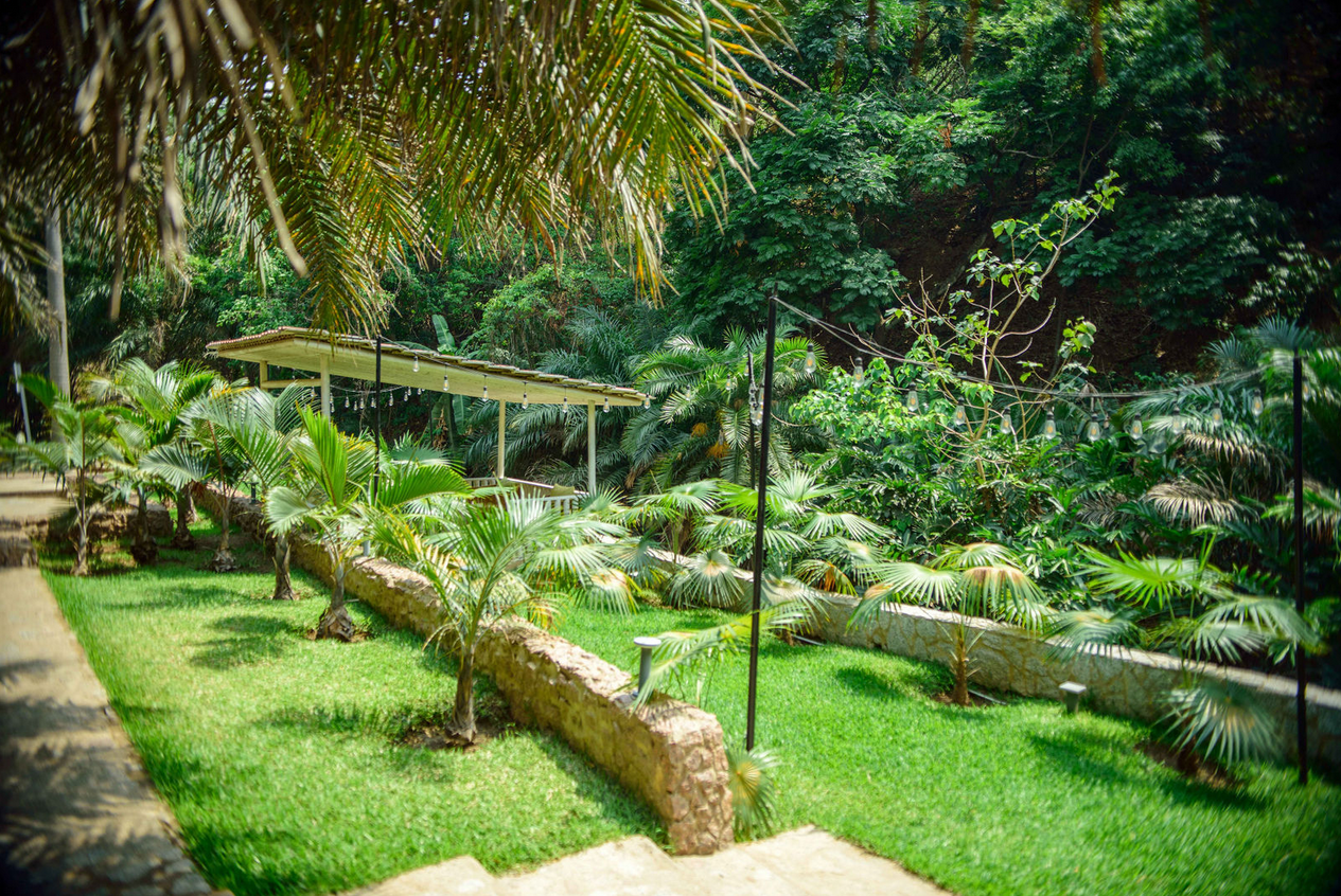 Palm view 13