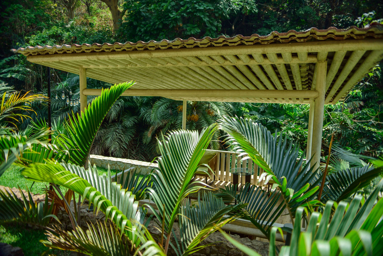 Garden view 16