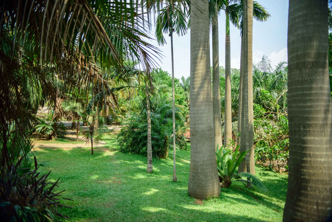Garden view 20