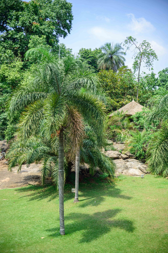 Garden view 22