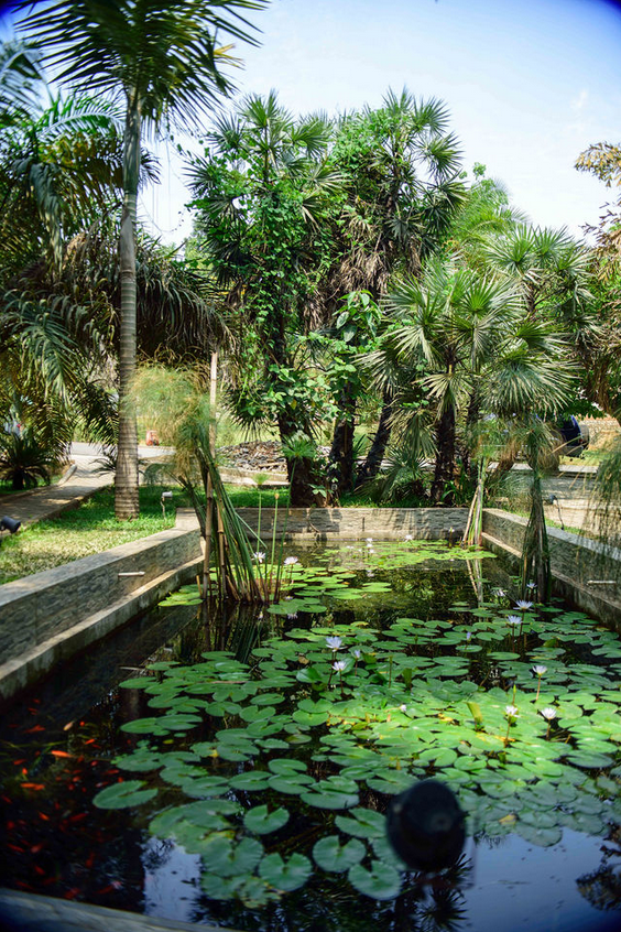 Garden 24
