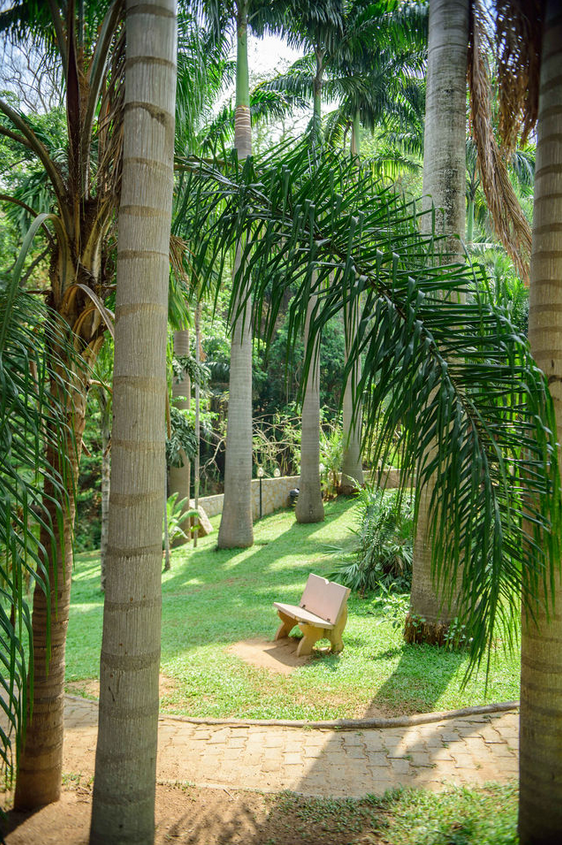 Garden view 26