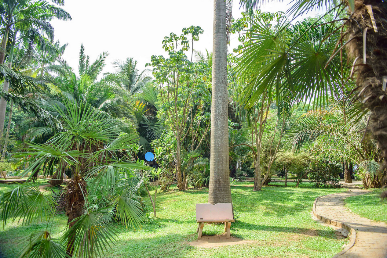 Garden view 27