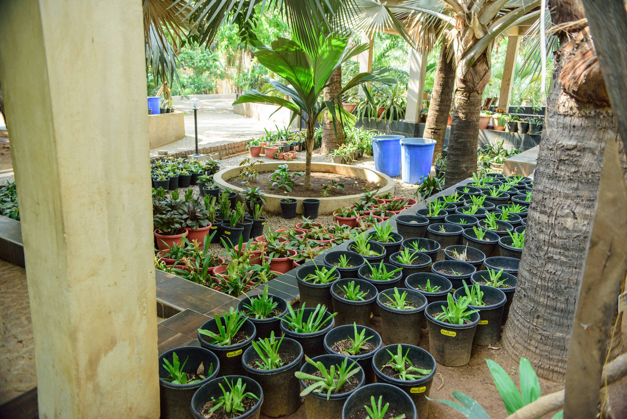 Garden view 30
