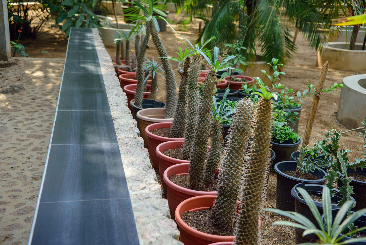 Garden view 34