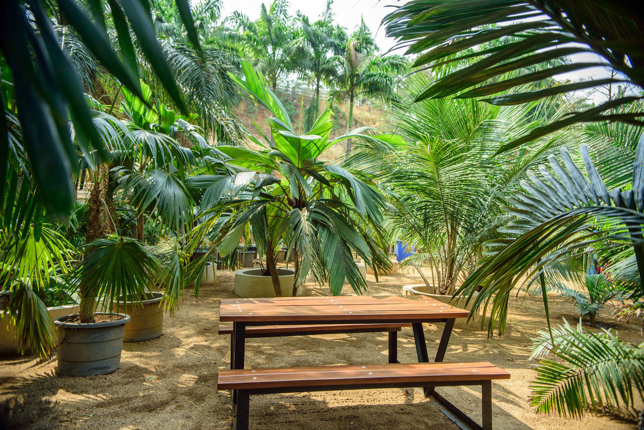Garden view 36