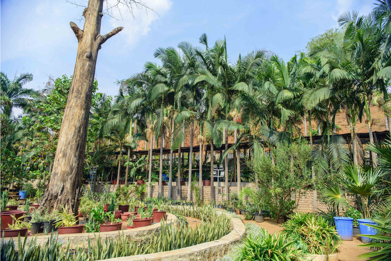 Garden view 39