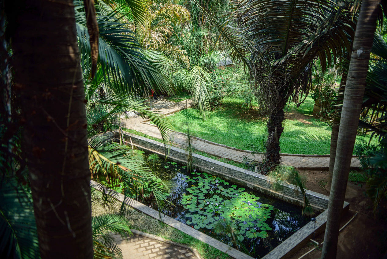 Garden view 4